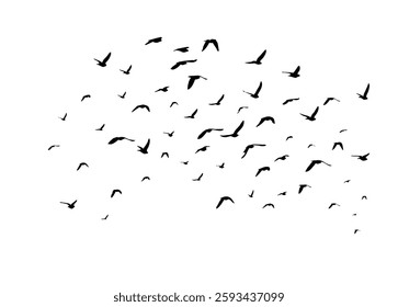 Flying birds silhouette flock. hand drawing. Not AI. Vector illustration.