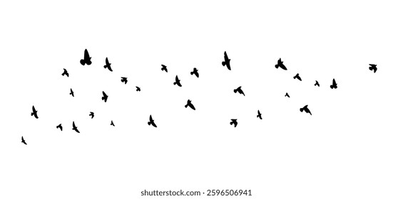 Flying birds silhouette flock. hand drawing. Not AI. Vector illustration.