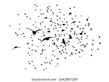 Flying birds silhouette flock. hand drawing. Not AI. Vector illustration.