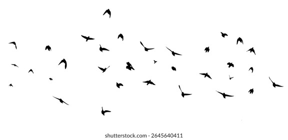 Flying birds silhouette flock. hand drawing. Not AI. Vector illustration.
