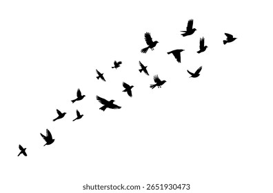 Flying birds silhouette flock. hand drawing. Not AI. Vector illustration.