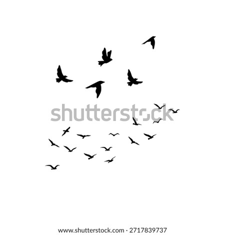 Flying birds silhouette flock isolated on white background representing freedom, nature, and wildlife concepts.