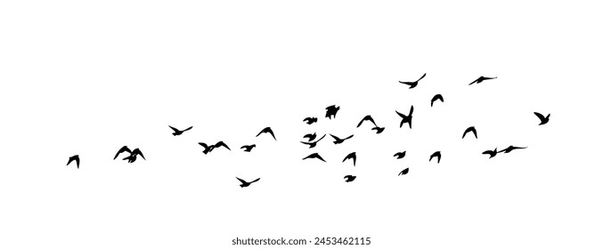 Flying birds silhouette flock. Not AI, Free birds abstraction . Vector illustration.
