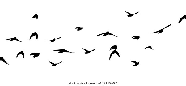 Flying birds silhouette flock. Not AI, Free birds abstraction . Vector illustration.
