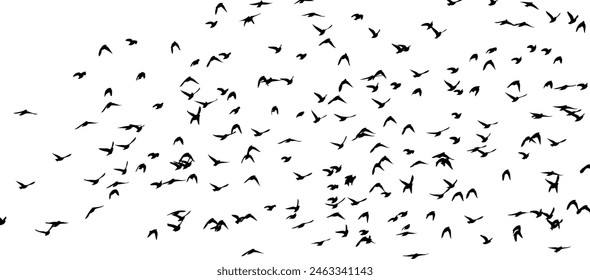 Flying birds silhouette flock. Not AI, Free birds abstraction . Vector illustration.