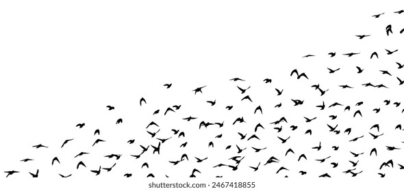 Flying birds silhouette flock. Not AI, Free birds abstraction . Vector illustration.