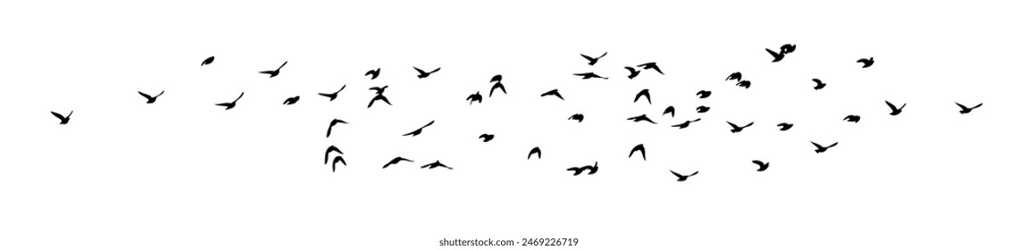 Flying birds silhouette flock. Not AI, Free birds abstraction . Horizontal background. Vector illustration.