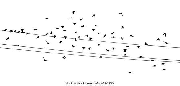 Flying birds silhouette flock. Birds on electric wires. hand drawing. Not AI, Vector illustration.