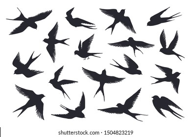 Flying birds silhouette. Flock of swallows, sea gull or marine birds isolated on white background. Vector set illustration of different steps free fly silhouettes feather wings bird