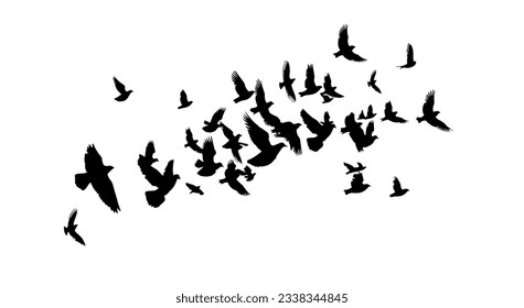 Fliegende Vogelsilhouette-Herde. Vektorgrafik