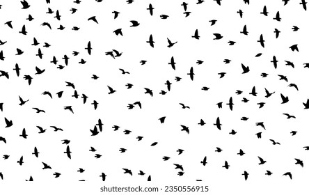 Flying birds silhouette flock. Vector illustration