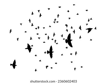 Flying birds silhouette flock. Vector illustration