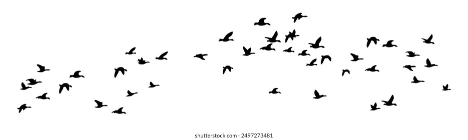 Flying birds silhouette, flock of flying birds, birds silhouette vector