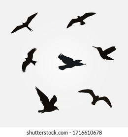 Flying birds silhouette icon, Vector, Vector silhouette flying birds, Vector Collection of Bird Silhouettes. Note: Editable 