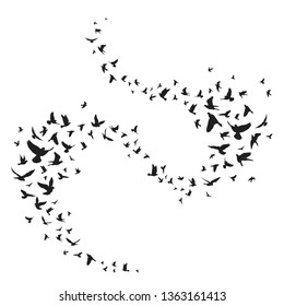 Flying birds silhouette illustration. Vector background