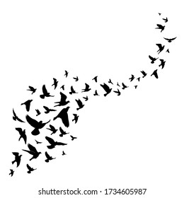 Flying birds silhouette illustration. Vector background