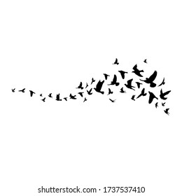 Flying birds silhouette illustration. Vector background