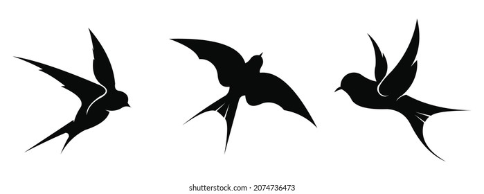 Flying birds silhouette on white background,spring bird or swift birds in sky crowd fly.