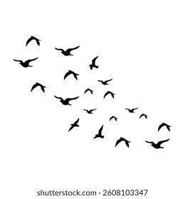 Flying birds silhouette on white background. Vector illustration. 