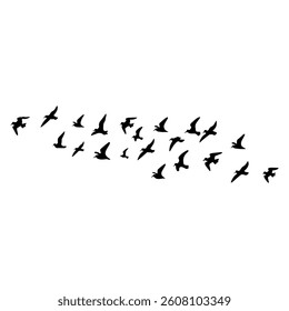 Flying birds silhouette on white background. Vector illustration. 