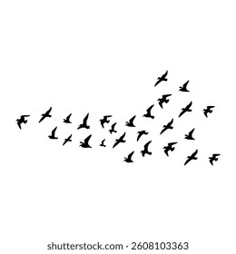 Flying birds silhouette on white background. Vector illustration. 