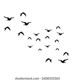 Flying birds silhouette on white background. Vector illustration. 