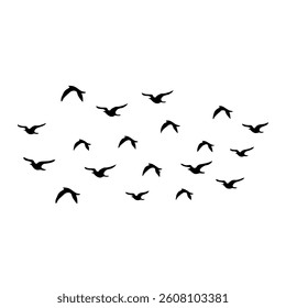 Flying birds silhouette on white background. Vector illustration. 