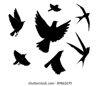 flying birds silhouette on white background, vector illustration