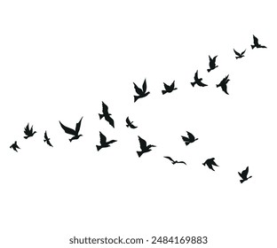 flying birds silhouette set clipart isolated on white background