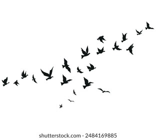 flying birds silhouette set clipart isolated on white background