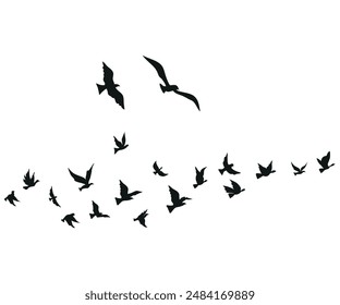 flying birds silhouette set clipart isolated on white background