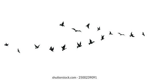 Flying birds silhouette set clipart isolated on white background