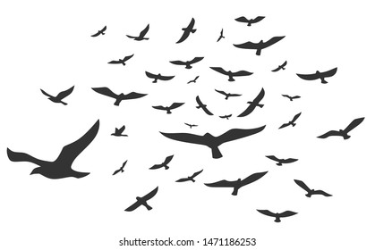 Flying birds silhouette in the sky. Vector