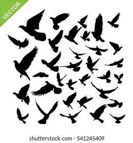 Flying birds silhouette vector