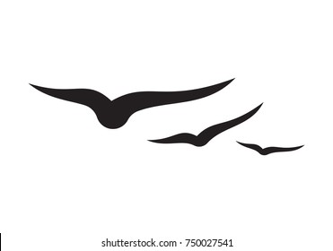 seagull silhouette
