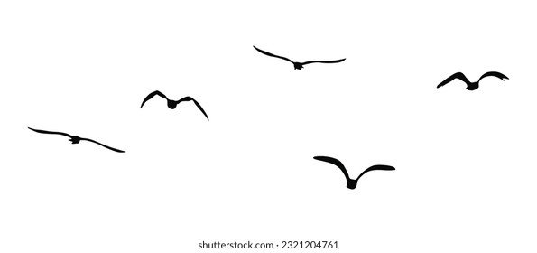 flying birds silhouette vector art