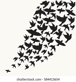 Flying birds silhouette vector background