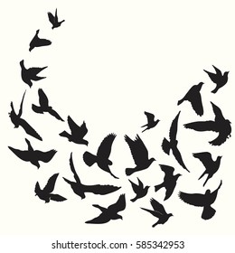 Flying birds silhouette vector background