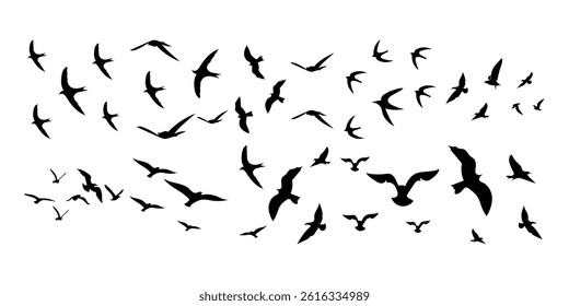 Flying Birds Silhouette Vector Collection