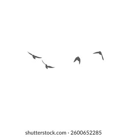 Flying Birds Silhouette. Vector Illustration. 