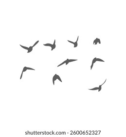 Flying Birds Silhouette. Vector Illustration. 