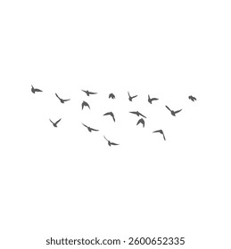 Flying Birds Silhouette. Vector Illustration. 