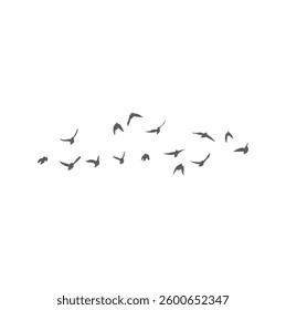 Flying Birds Silhouette. Vector Illustration. 