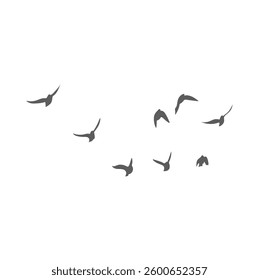 Flying Birds Silhouette. Vector Illustration. 