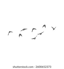 Flying Birds Silhouette. Vector Illustration. 