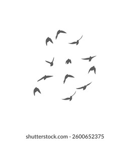 Flying Birds Silhouette. Vector Illustration. 