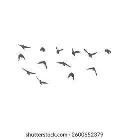 Flying Birds Silhouette. Vector Illustration. 