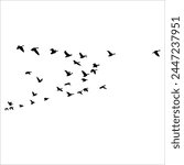 Flying Birds Silhouette Vector Set Black Colored Scalable