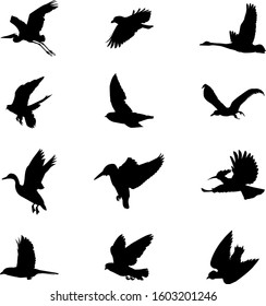 Flying birds silhouettes collection for creating artwork compositions