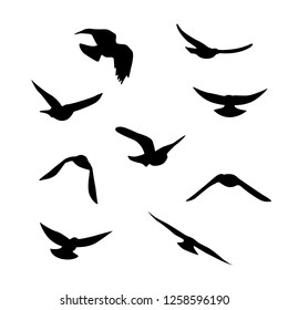 Flying birds silhouettes collection. Vector decoration elements.